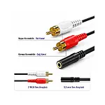 2 RCA Erkek - 3,5mm Stereo Dişi Ses Dönüştürücü